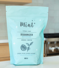 Mint Cleaning-Glass Cleaner